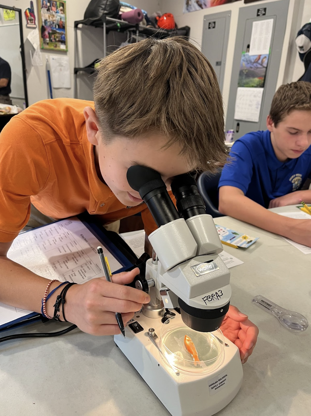french broad river academy academics science french broad river academy academics science