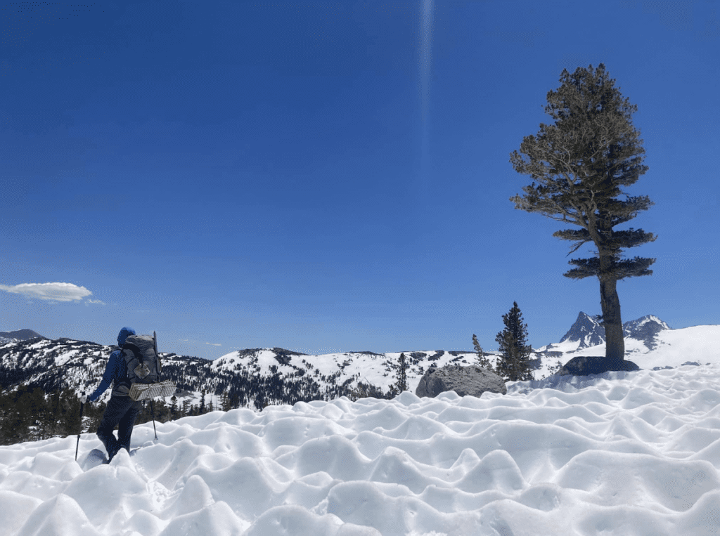 nora randolph on the jmt