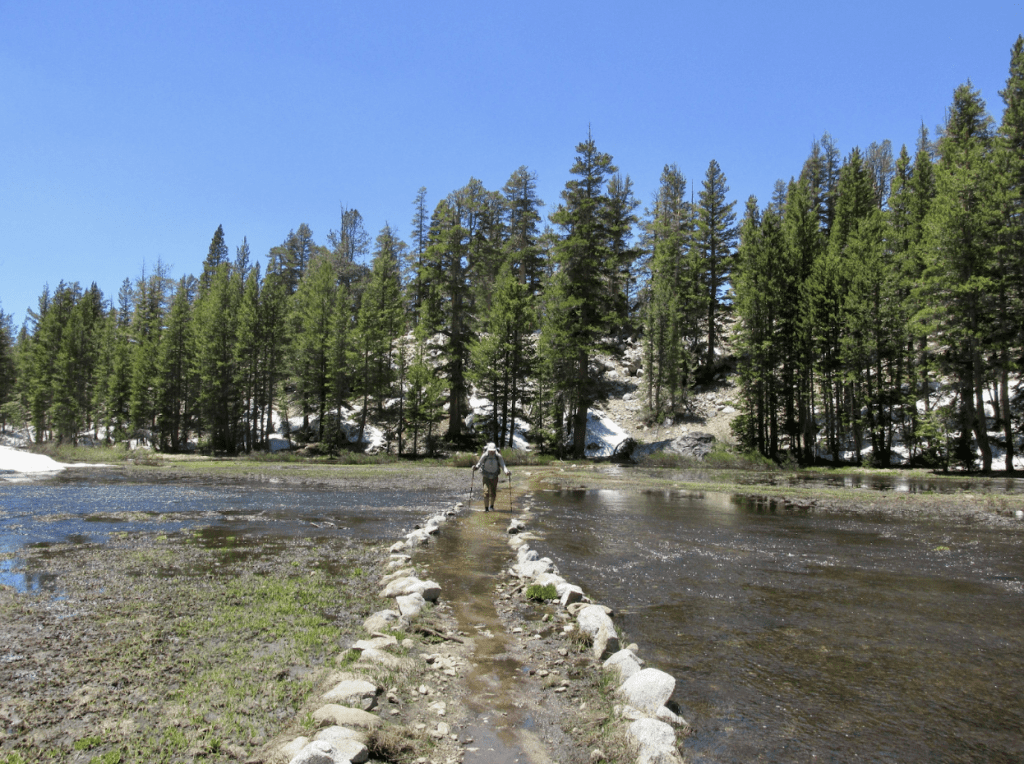 nora randolph on the jmt