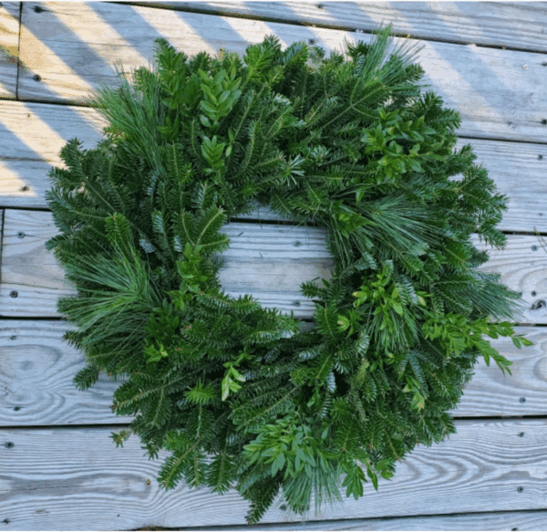 22” Mixed Wreaths - Fraser Fir with White Pine, Boxwood, & Holly